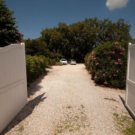 Chambres D'Hotes Le Mas Du Bijou Bleu Puget-sur Argens Exterior foto