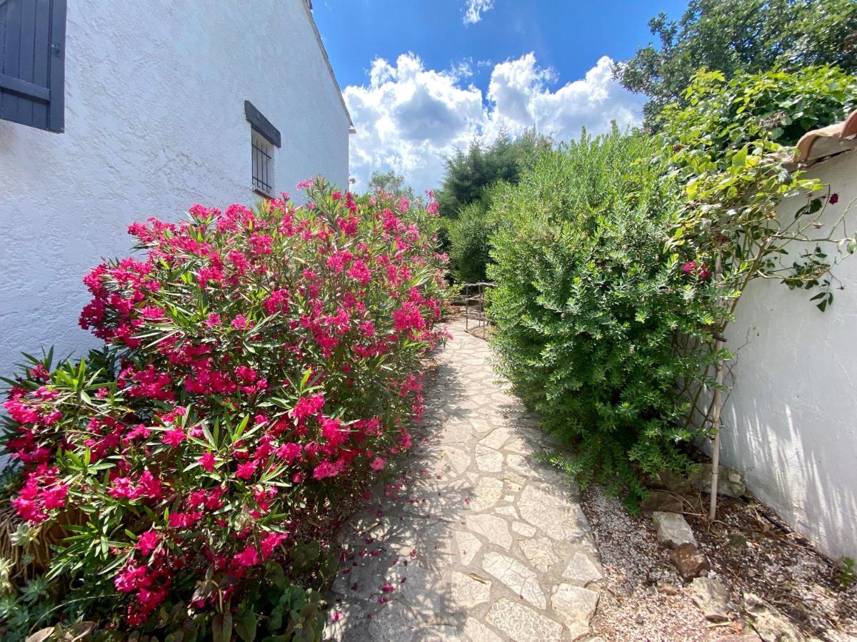 Chambres D'Hotes Le Mas Du Bijou Bleu Puget-sur Argens Exterior foto
