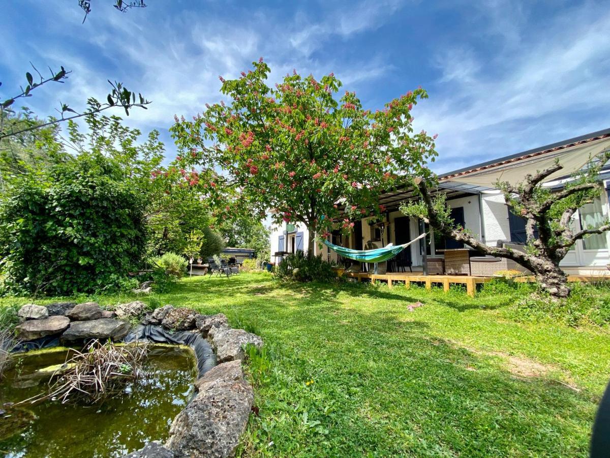 Chambres D'Hotes Le Mas Du Bijou Bleu Puget-sur Argens Exterior foto