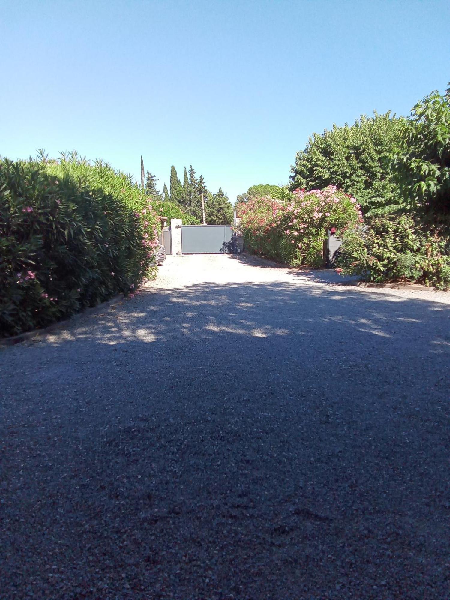 Chambres D'Hotes Le Mas Du Bijou Bleu Puget-sur Argens Exterior foto